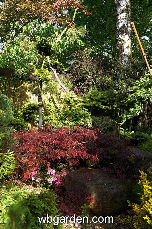 wbgarden spring 37.JPG